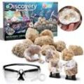 Discovery™ MINDBLOWN Experimentierkasten Mystery Crystals mehrfarbig