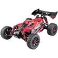 Reely Major Rot Brushed 1:14 RC Modellauto Elektro Buggy Allradantrieb (4WD) RtR 2,4 GHz Inkl. Akku und Ladegerät