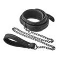 Blaze - Collar Leash Diamond