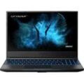 MEDION ERAZER® Guardian X10, Gaming Notebook, mit 15,6 Zoll Display, Intel® CoreTM i7,i7-10750H Prozessor, 16 GB RAM, 1 TB SSD, NVIDIA GeForce RTXTM 2070, Schwarz, Windows 10 Home (64 Bit)