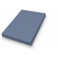 Vario - Jersey-Spannbetttuch blau, 100 x 200 cm Spannbettlaken