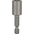 Bosch Sk-Stecks 50mm SW 10,0 mit Magnet