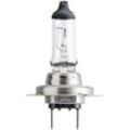 Philips 49026130 Halogen Leuchtmittel Vision Moto H7 55 W 12 V