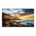 Samsung QE65T Smart Signage Display 165,1 cm 65 Zoll