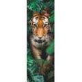 Bild WALKING TIGER (BH 30x90 cm)