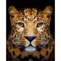 BILD LEOPARD FACE