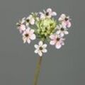 Kunstblume Ornithogalum (H 64 cm)