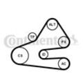 CONTINENTAL CTAM Keilrippenriemensatz für VW AUDI 6PK1613K1