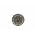 BOSCH Druckspeicher, Kraftstoffdruck Ø73mm 73mm für MERCEDES-BENZ A0004760521 A0004760621 0004760521 0 438 170 035