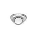 Twista Signet Ring Silver