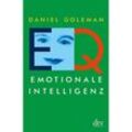 Emotionale Intelligenz, EQ - Daniel Goleman, Taschenbuch