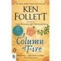 A Column of Fire - Ken Follett, Kartoniert (TB)