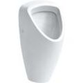 LAUFEN Caprino Plus Absaug-Urinal 8420620000001 ohne Fliege, weiß, Zulauf von oben