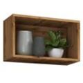 VCM Holzregal hängend platzsparendes Regal Maße: H. 30 x B. 50 x T. 28 cm Elegantes Regal hängend Aufbewahrungsregal Bücherregal Wandboard - Arila S