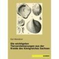 Die wichtigsten Tierversteinerungen aus der Kreide des Königreiches Sachsen - Karl Wanderer, Kartoniert (TB)