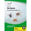 Die Spinne, m. 1 CD-ROM - Birgit Kraft, Gebunden