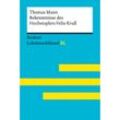 Bekenntnisse des Hochstaplers Felix Krull von Thomas Mann: Lektüreschlüssel mit Inhaltsangabe, Interpretation, Prüfungsaufgaben mit Lösungen, Lernglossar. (Reclam Lektüreschlüssel XL) - Thomas Mann, Mario Leis, Volker Ladenthin, Kartoniert (TB)