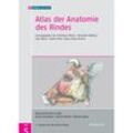 Atlas der Anatomie des Rindes, Gebunden