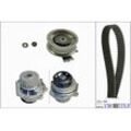 INA Wasserpumpe + Zahnriemensatz mit für SKODA VW SEAT AUDI 06B121011NX 06B121011EX 06B121011QX 530 0171 31