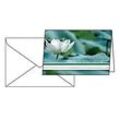 Trauerkarte Sigel „Water Lily“, Format B6, 115 x 170 mm, mit weißen & gummierten Umschlägen, grün, FSC®-Glanzkarton, 10 Stück