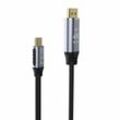 Inca - 4K HDMI-Kabel: High-Definition Bildübertragung (60 Hz), Typ-C zu DisplayPort, Goldspitzen