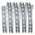 LED-Strip MaxLed 500 in Silberfarben max. 10 Watt