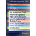 Use of the Normalized Difference Vegetation Index (NDVI) to Assess Land Degradation at Multiple Scales - Genesis Tambang Yengoh, David Dent, Lennart Olsson, Anna Tengberg, Compton J. Tucker, Kartoniert (TB)