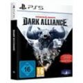 Dungeons & Dragons Dark Alliance Steelbook Edition