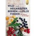 Wild- und Heilkräuter, Beeren und Pilze finden - Christine Schneider, Rudi Beiser, Maurice Gliem, Kartoniert (TB)