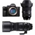 Sony Alpha ILCE 7R IV + Sigma 24-70mm f2,8 + Sigma 150-600mm f5-6,3 - abzgl. 340,00€ Sigma Cashback - abzgl. 300,00€ Sommer Cashback - abzgl. 100,00€ Welcome to Alpha-Bonus