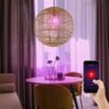 Etc-shop - Smart Kugel Decken Hänge Bambus Leuchte Lampe dimmbar steuerbar per App Handy Sprache im Set inkl. rgb led Leuchtmittel