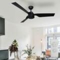 Decken Ventilator Raumkühler mit Fernbedienung Wohnzimmer Lüfter Kühler schwarz, Sommer-/Wintermodus 3 Geschwindigkeiten Timer, d 132 cm