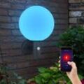 Außenleuchte Wandleuchte mit Bewegungsmelder Gartenleuchte Edelstahl Fassadenleuchte, Glaskugel weiß anthrazit, App Steuerung, Smart rgb led 10W