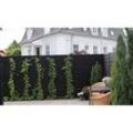 Lärmschutzwand für Garten Maxi Modul 24 dB in der Größe 251 x 100 cm in Schwarz