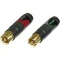 Neutrik NF2CB2 Cinch-Steckverbinder Stecker, gerade Polzahl: 2 Schwarz, Rot 2 St.