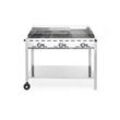 Gasgrill Green Fire PROFI LINE - 3 Brenner