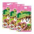 MultiFit Nature snacks Blüten & Gemüse 3x100g