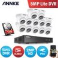 Annke - 16CH 1080P hd Videoüberwachungssystem H.265+ 5in1 5MP Lite dvr 12X 1080P Turm Outdoor Wetterfeste CCTV-Überwachungskameras - mit 1TB