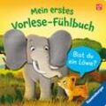 Mein erstes Vorlese-Fühlbuch: Bist du ein Löwe? - Kathrin Lena Orso, Pappband