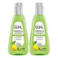 Guhl Shampoo Frische & Leichtigkeit 250 ml, 4er Pack