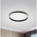 Paul Neuhaus Q-VITO LED-Deckenlampe 79cm anthrazit