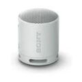Sony SRS-XB100 - Tragbarer kabelloser Lautsprecher - Grau