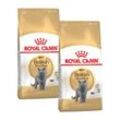 ROYAL CANIN British Shorthair Adult 2x10 kg