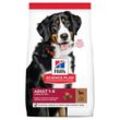 Hill's Science Plan Adult Large Breed Lamm & Reis 14 kg