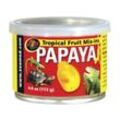 ZooMed Tropical Fruit Mix-ins 113g Papaya