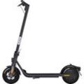 NINEBOT F2 D E-Scooter (10 Zoll, Black)