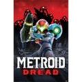 Pyramid - Poster nintendo metroid dread schatten