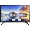 Dyon Smart 24 XT LED-TV 60.96 cm 23.6 Zoll EEK F (A - G) Schwarz