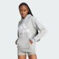 Essentials Logo Boyfriend Hoodie