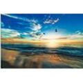 Wandbild ARTLAND "Strand Möwen Meer Sonnenuntergang" Bilder Gr. B/H: 90 cm x 60 cm, Alu-Dibond-Druck Sonnenaufgang & -untergang, 1 St., blau als Alubild, Outdoorbild, Leinwandbild, Poster, Wandaufkleber